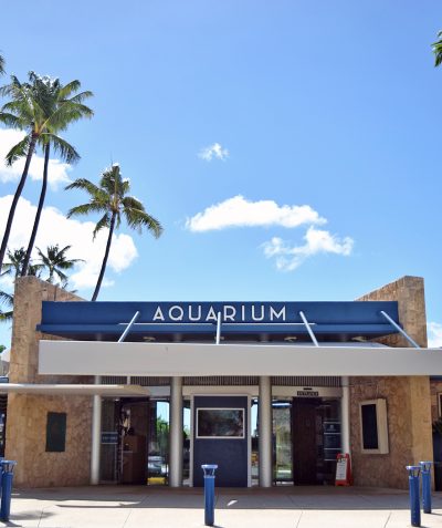 ワイキキ水族館